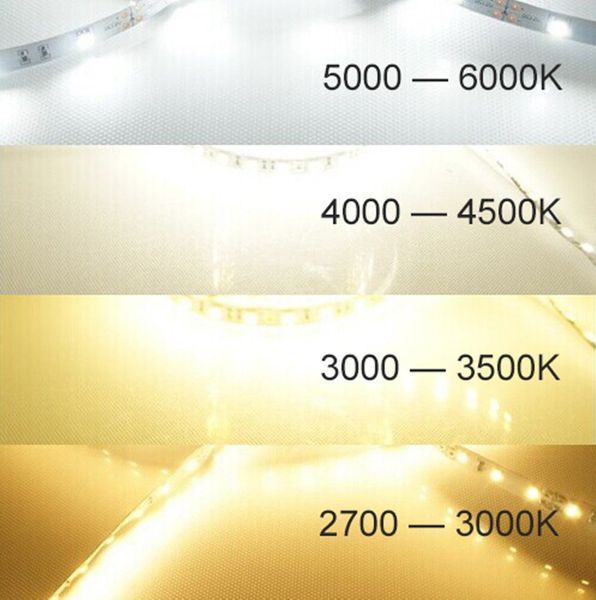 Світлодіодна LED стрічка PROLUM&trade; 12V; 2835\120; IP20; Series "SG", Білий (5500-6000К) 320124 фото